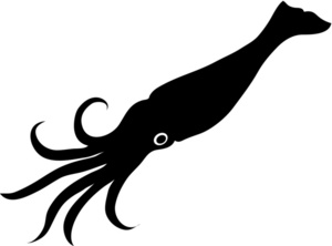 Squid Clipart Image 