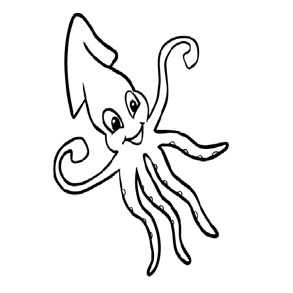 Squid Coloring Page Free Squid Coloring Pages Png