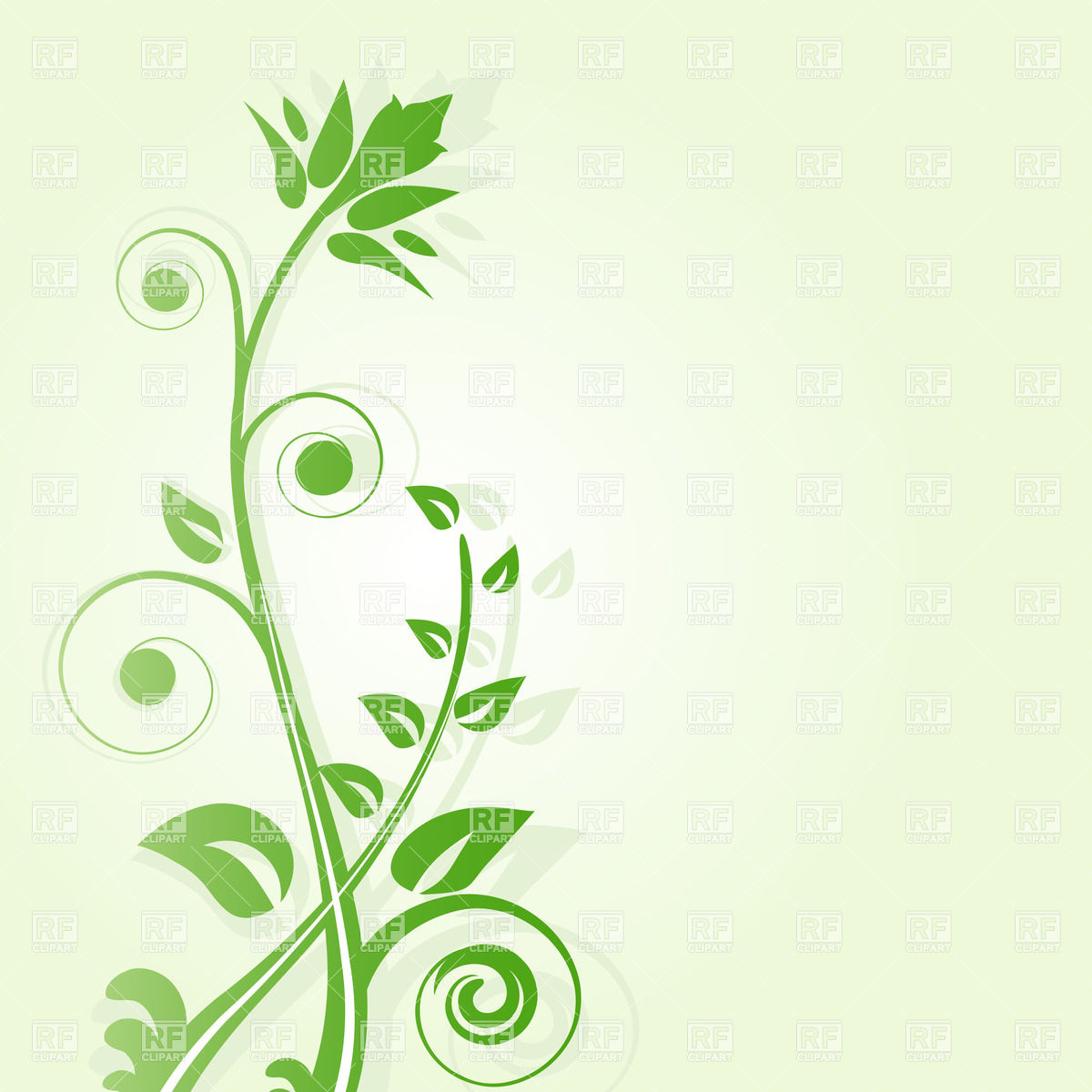 Twig With Curls And Leaves Download Royalty Free Vector Clipart  Eps