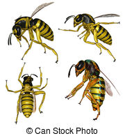 Wasp Stock Illustrations  1543 Wasp Clip Art Images And Royalty Free