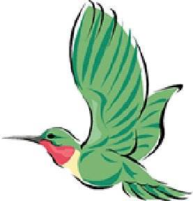 Amazoncom Hummingbird   Stock Photo Image Cd Clipart