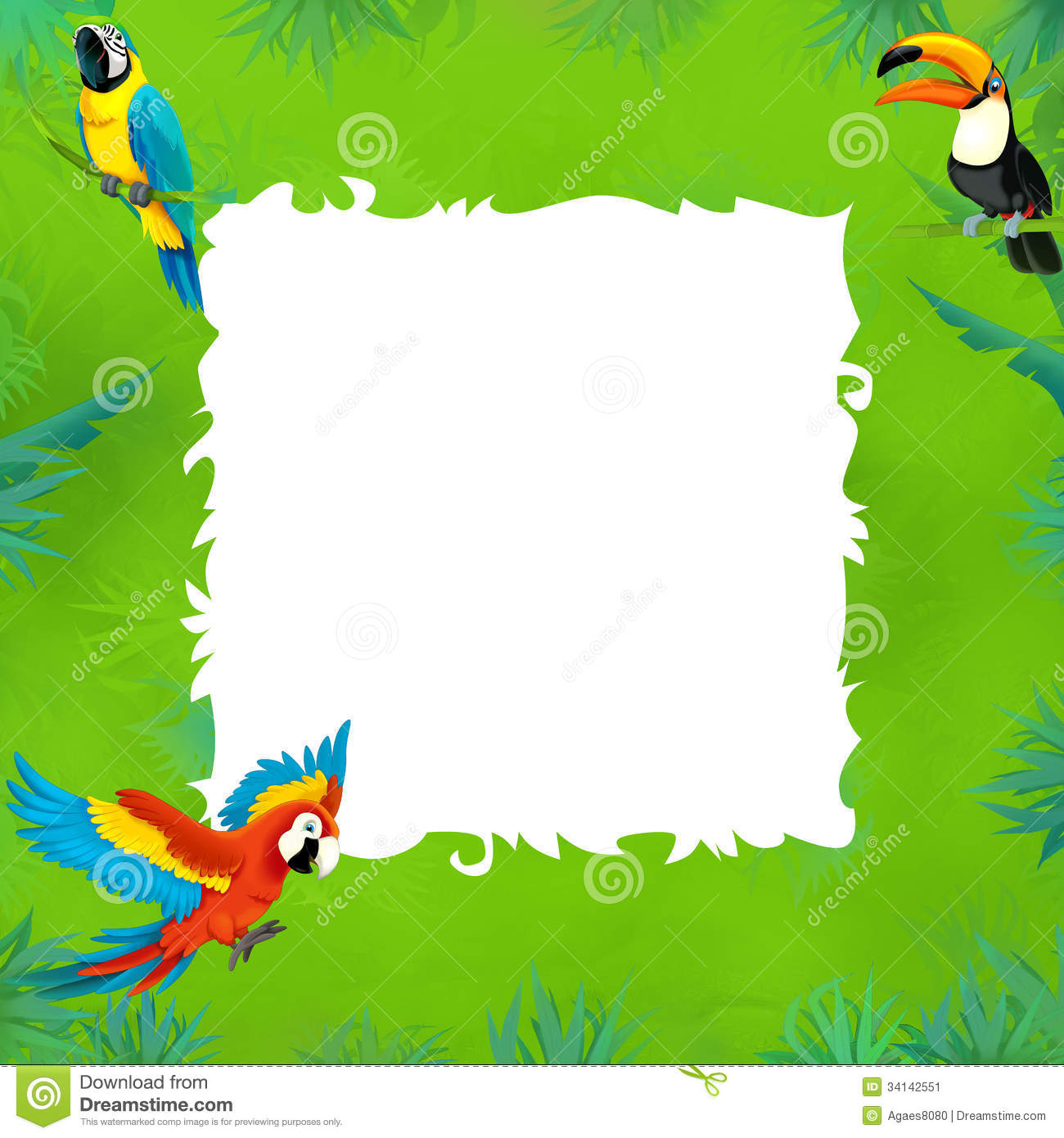 Cartoon Safari   Jungle   Frame Stock Image   Image  34142551