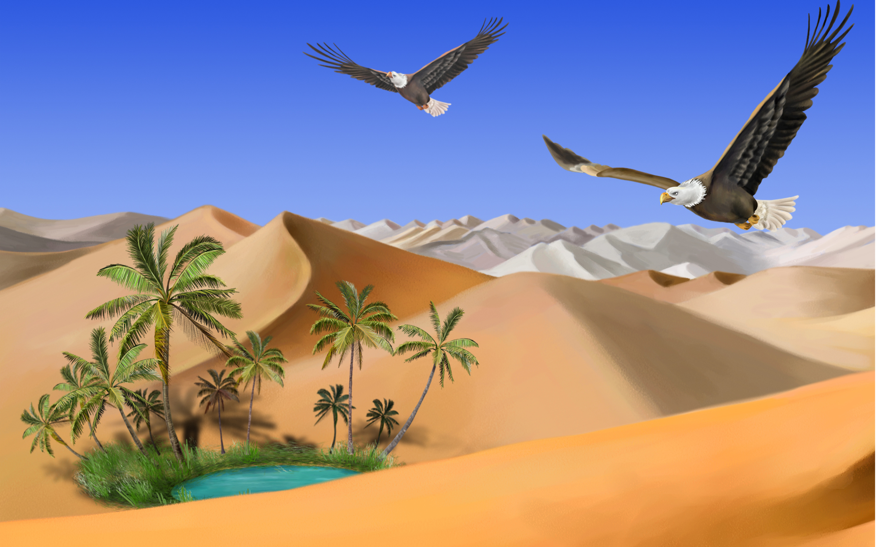 Desert Sand Eagles Oasis Wallpaper   Forwallpaper Com