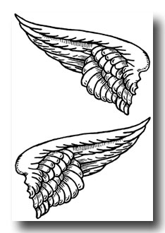 Drawings Of Angel Wings    Image 3
