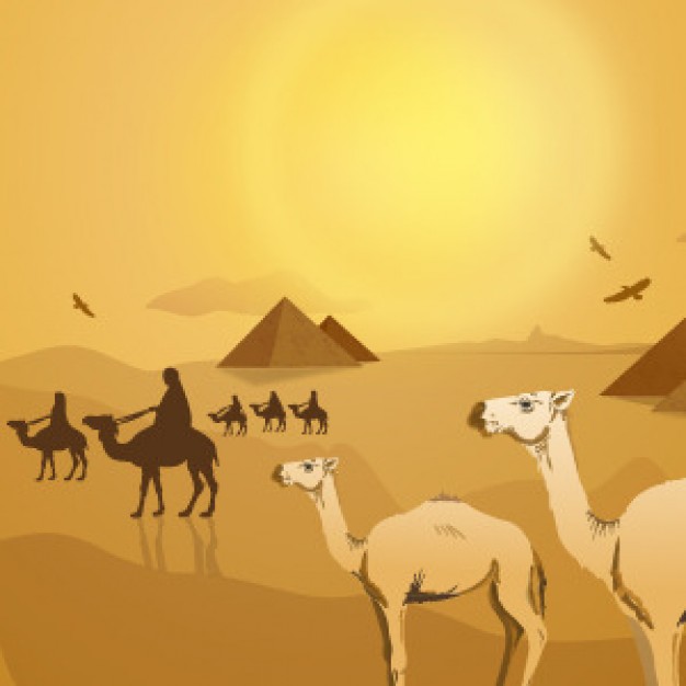 Egyptian Desert Landscape With Pyramid Camel   Download Free Animal    