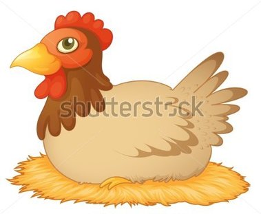 Hen Laying On A Nest Of Eggs Stock Vector   Clipart Me