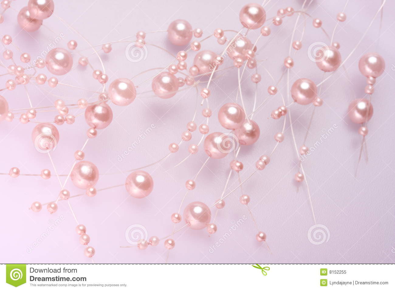 Pink Pearls Royalty Free Stock Photo   Image  8152255