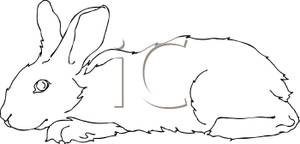 White Rabbit Lying Down   Royalty Free Clipart Picture