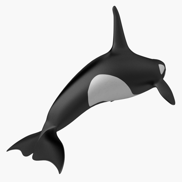 Animated Whale   Clipart Best