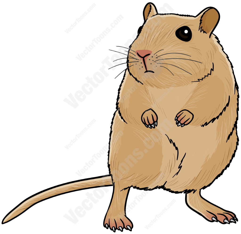 Be The First To Review  Light Brown Gerbil Standing On Its Back Legs