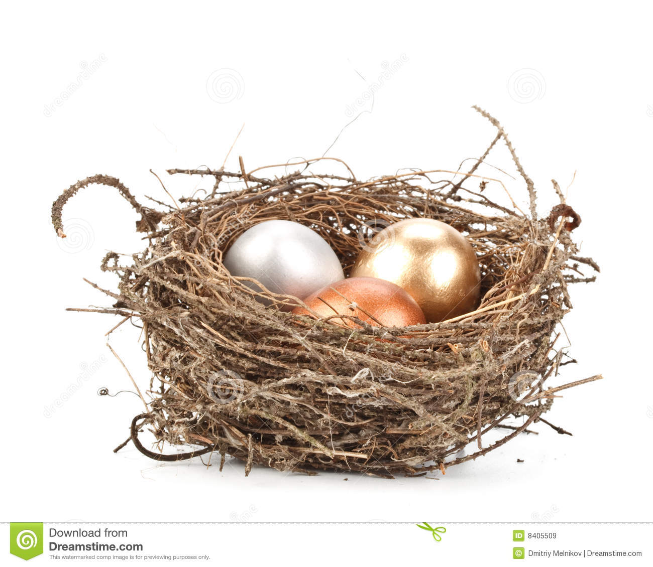 Gold Egg Royalty Free Stock Images   Image  8405509