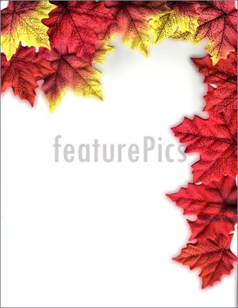 Harvest Border Clipart A Bold And Vivid Design With