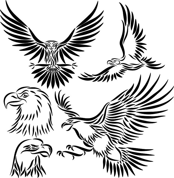 Soaring Eagle Clipart Soaring Eagle Clipart Black And White Clipart    