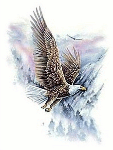 Soaring Eagle   Http   Www Wpclipart Com Holiday Veterans Day Soaring    