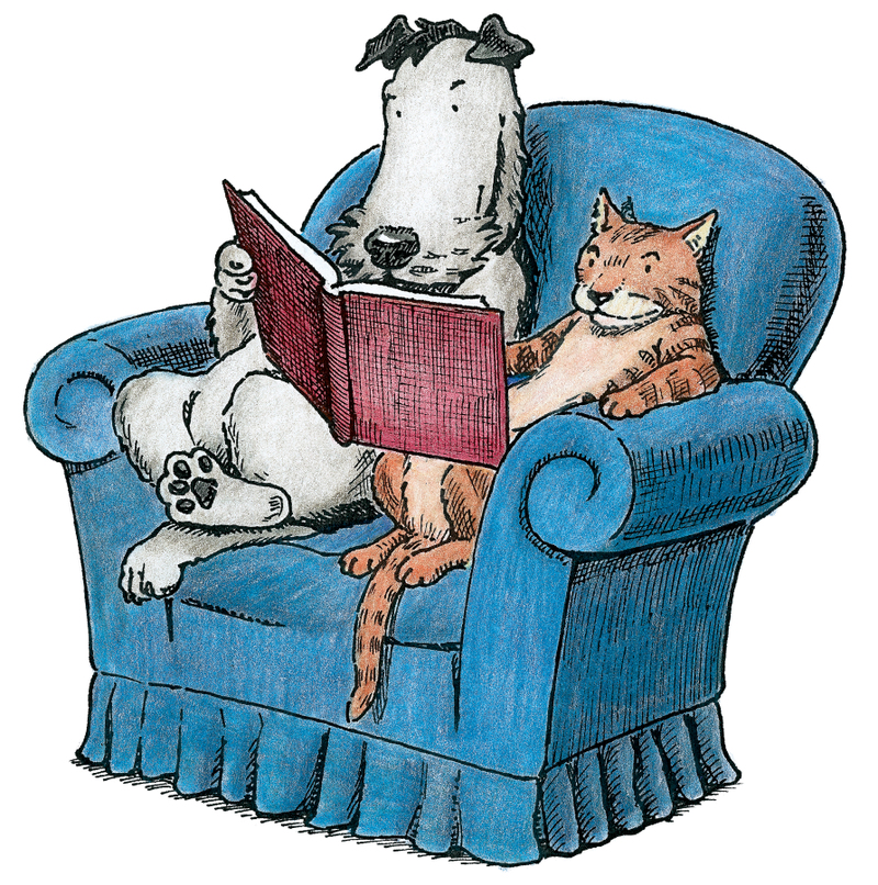 Cat   Dog Storytime   Sturdy For Common Things
