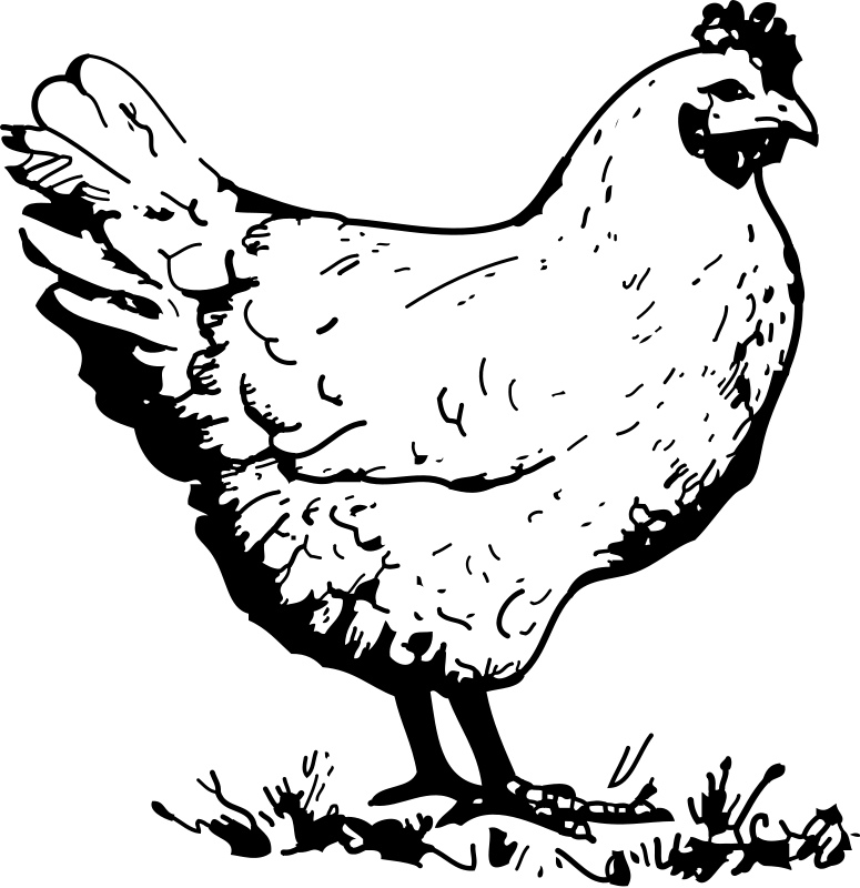 Chicken Food Clipart Png 119 05 Kb Chicken With Potatoes Food Clipart