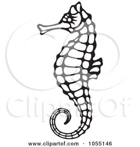 Clipart Seahorse Seahorse Clip Art Black And Whiteblack And White    