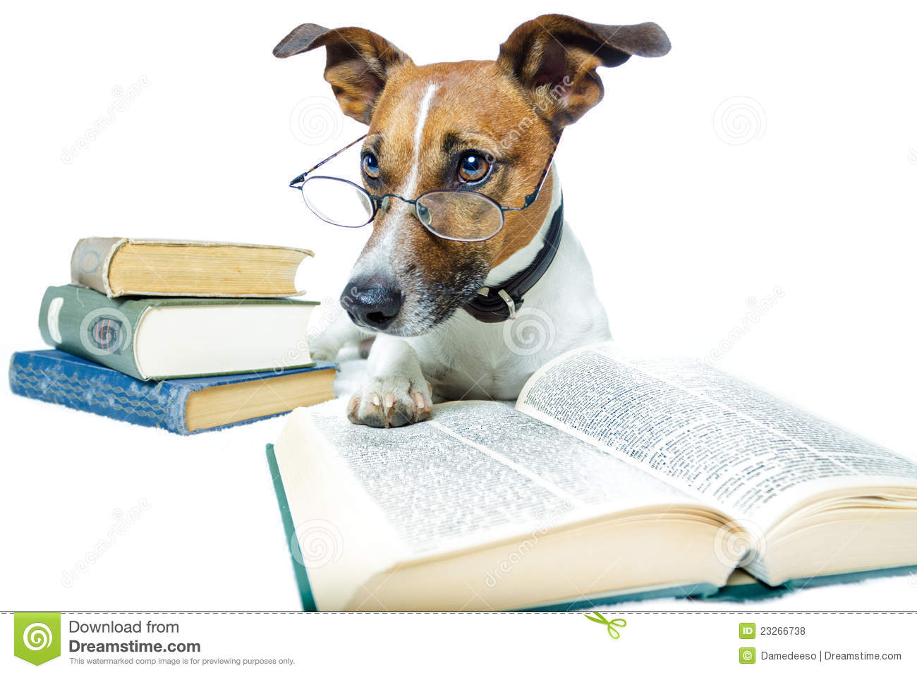 Free Dog Reading Clipart Pictures