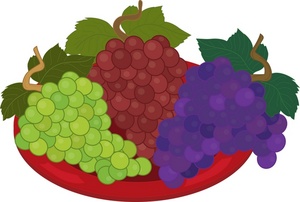 Fruit Clipart Image  Grapes On   Clipart Panda   Free Clipart Images