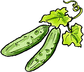     Pickles No Canning   Deep Roots At Home   Clipart Best   Clipart Best