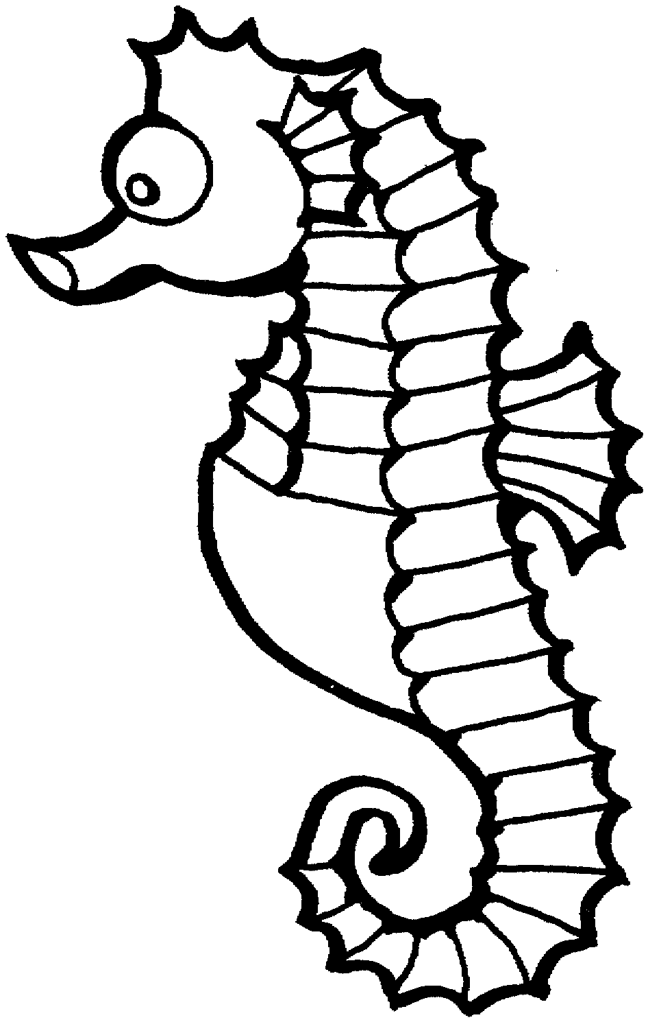 Seahorse Clipart Black And White   Clipart Best