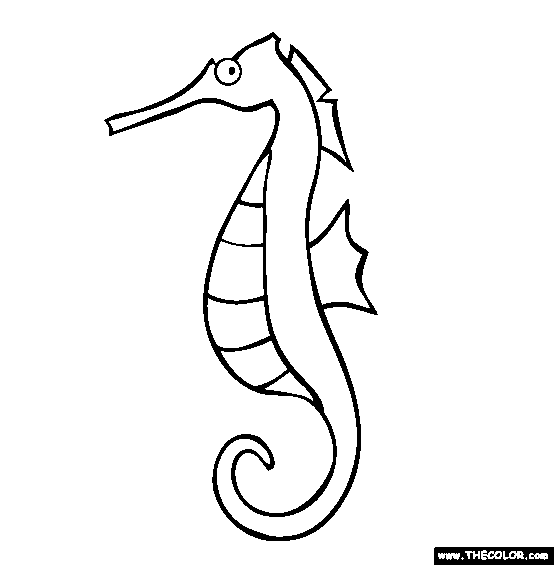 Seahorse Clipart Black And White   Clipart Panda   Free Clipart Images