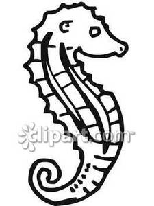 Seahorse In Black And White   Royalty Free Clipart Picture