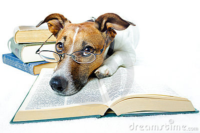 Dog Reading Clipart Image Galleries   Imagekb Com