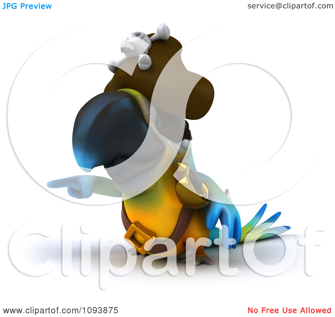 Pirate Parrot Clipart   Imagebasket Net