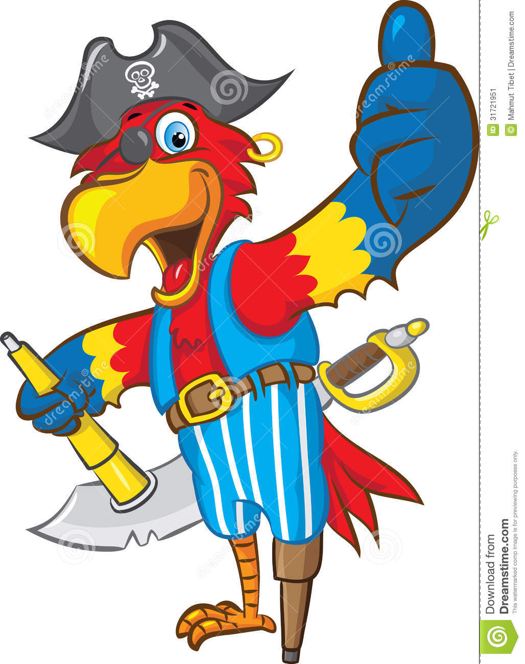 Pirate Parrot Stock Image   Image  31721951