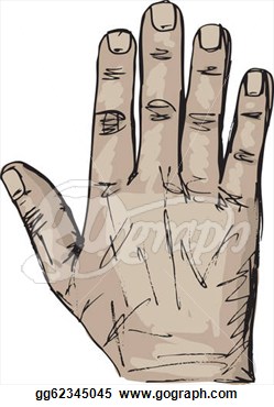Right Hand Clipart Sketch Of Right And Left Hand