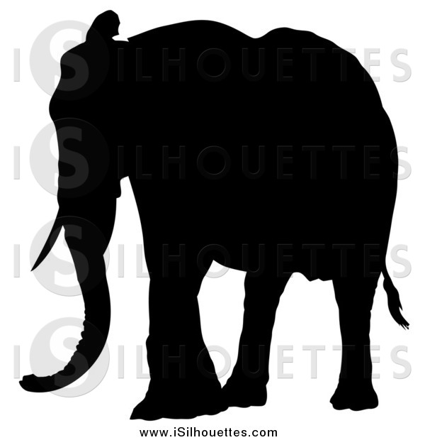 Silhouetted Elephant With One Ear Lifted Silhouette Clip Art Dero