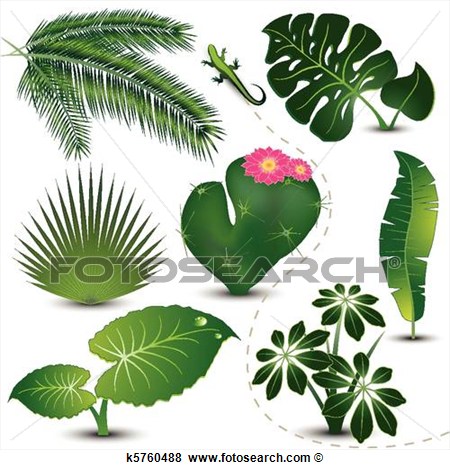 Clip Art   Tropical Leaves Collection  Fotosearch   Search Clipart