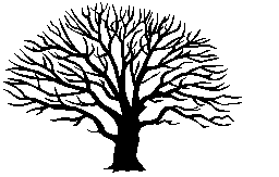 Free Trees Clipart  Free Clipart Images Graphics Animated Gifs