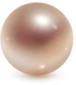 Pearls Clipart Pearl   Royalty Free Clip Art