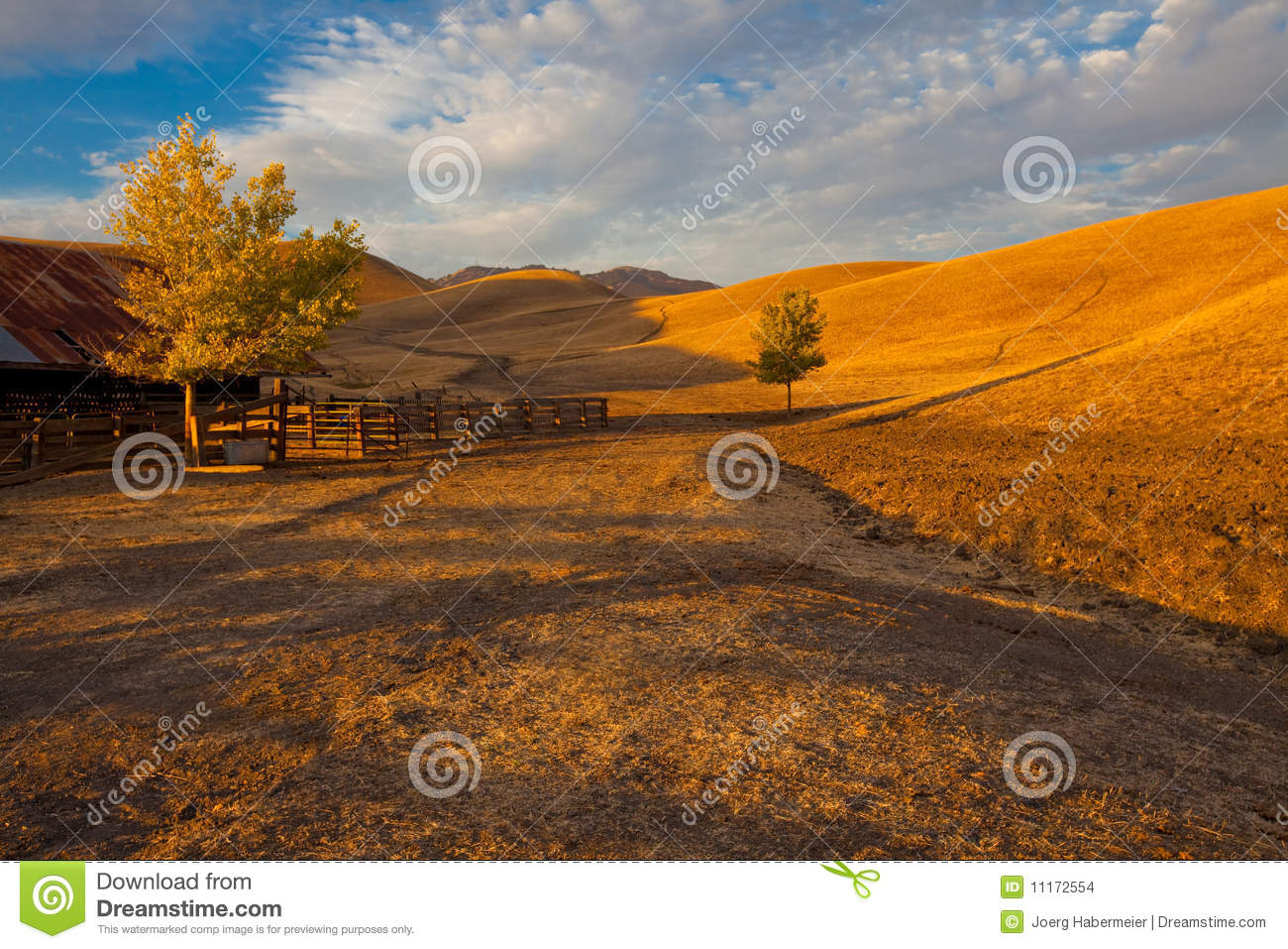 Farm Land Scene With Rolling Grassland   Pasture Hills And A Path