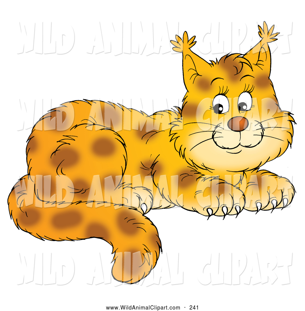 Larger Preview  Clip Art Of A Adorable Spotted Wildcat Cub With Tufts    