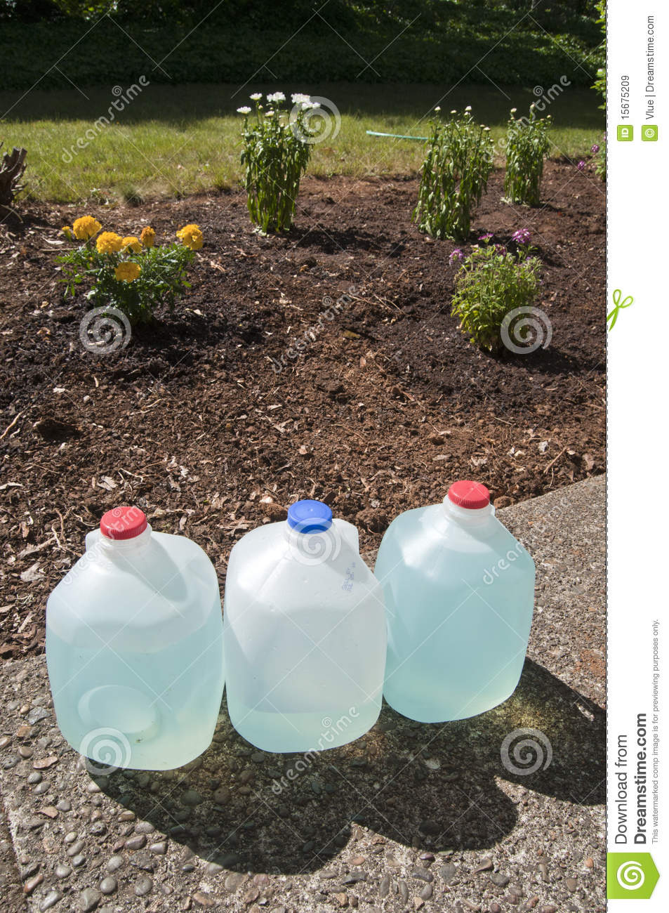 Blue Plant Fertilizer Liquid Royalty Free Stock Images   Image
