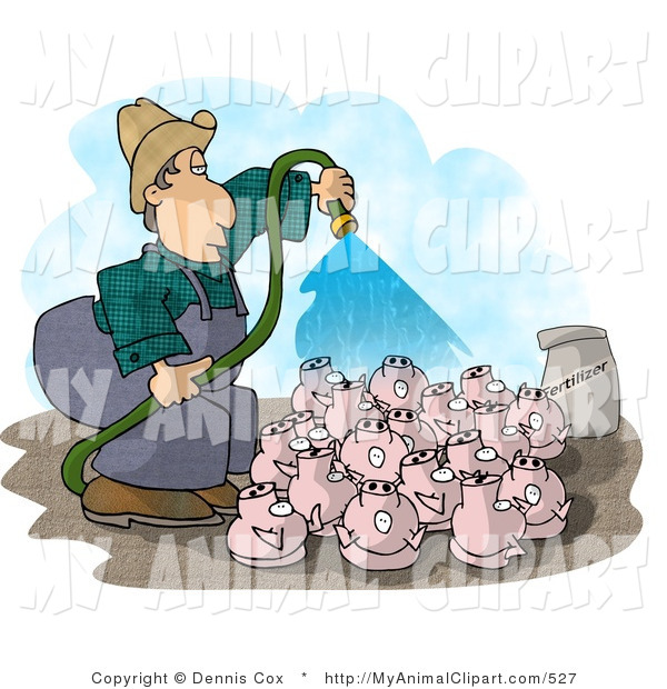 Clip Art Of A Farmer Watering His Pigs With Fertilizer From A Hose