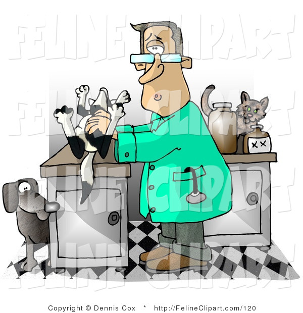 Clip Art Of A Male Vet With A Dead Dog On A Table By Djart    120