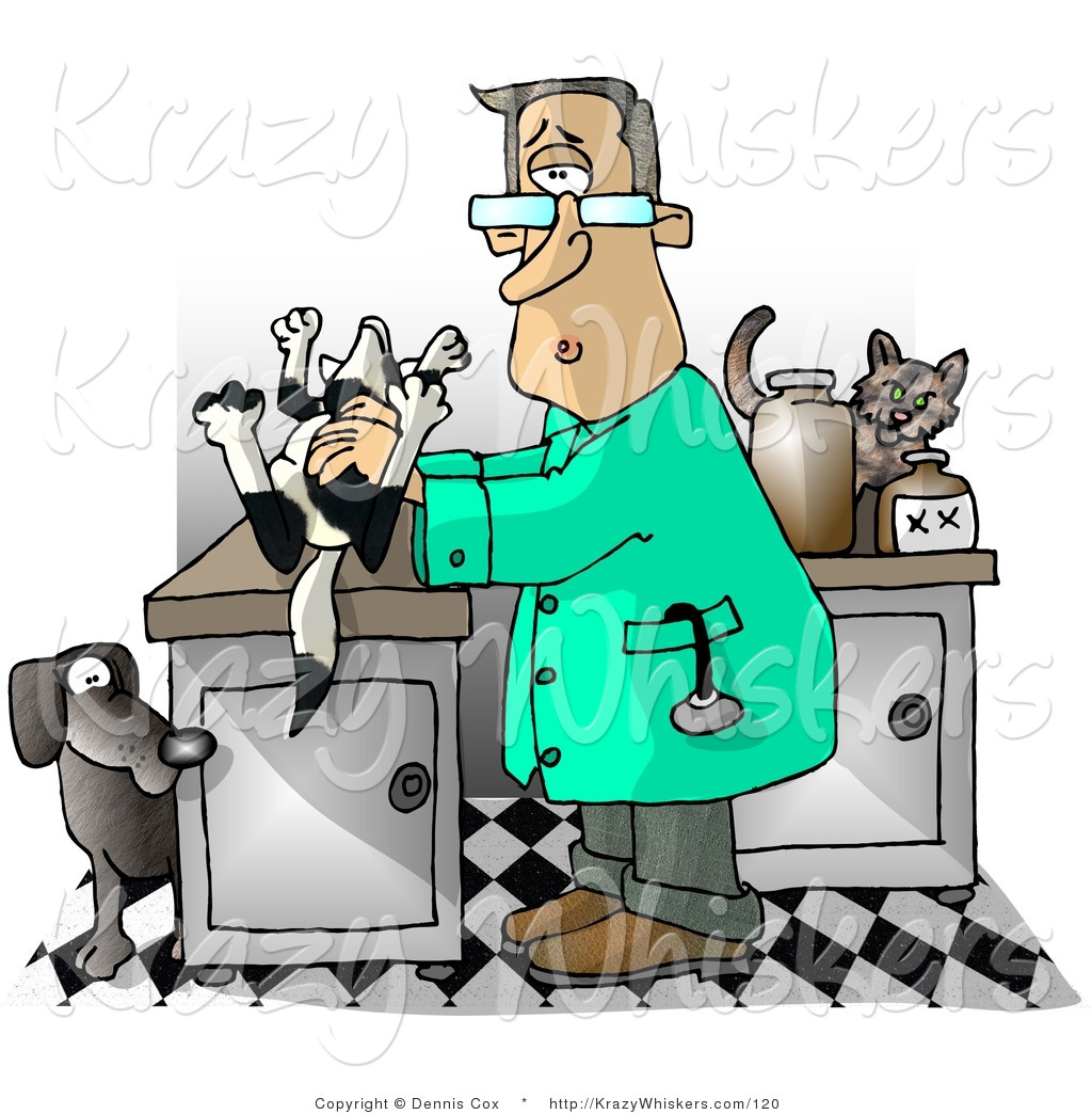     Clipart Of A Male Veterinarian With A Dead Dog On His Clinic Table By