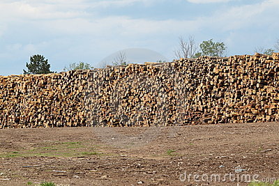 Huge Stack Of Logs At The Sawmill Royalty Free Stock Photos   Image    