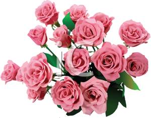 Pink Roses Bouquet Clipart A Bouquet Of Pink Roses