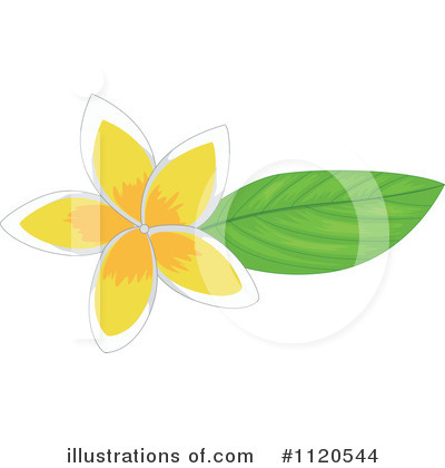 Plumeria Clipart  1120544   Illustration By Colematt