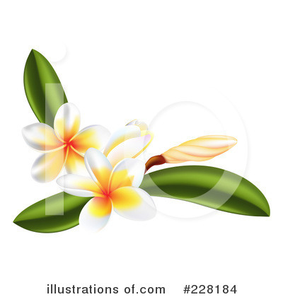 Royalty Free Plumeria Clipart Illustration 228184 Jpg