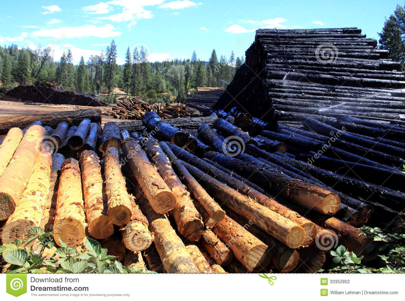 Stacked Logs Being Sprayed Down With Water At A Sawmill