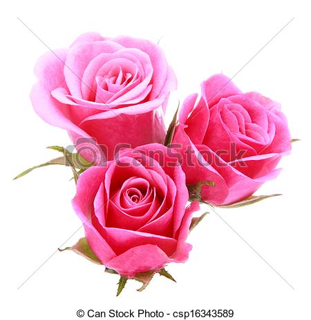 Stock Photo   Pink Rose Flower Bouquet Isolated On White Background    