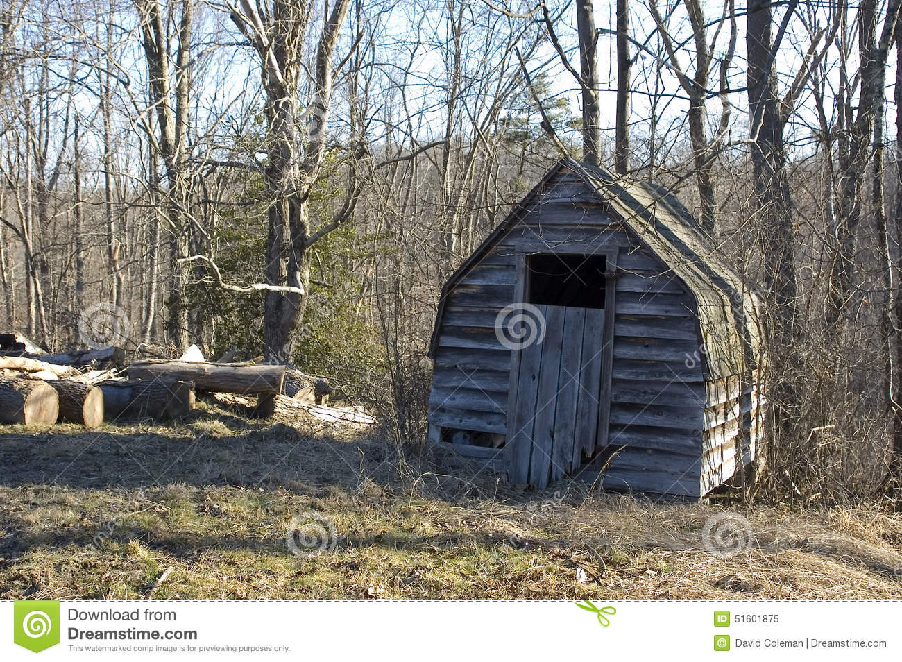 Storage Shed Beside Logs Waiting Their Turn At An Abandoned Sawmill
