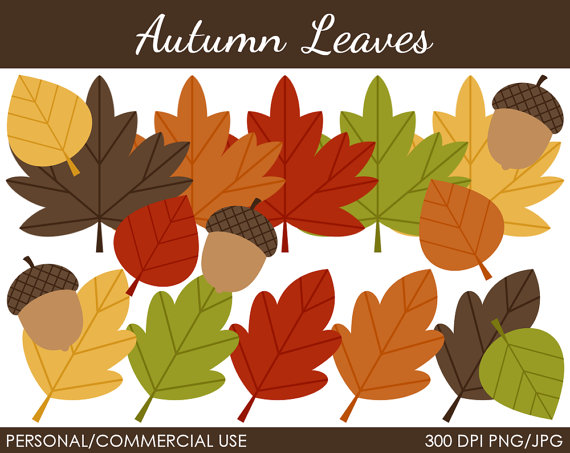 Autumn Leaves Clipart   Digital Clip Art Graphics For Personal Or