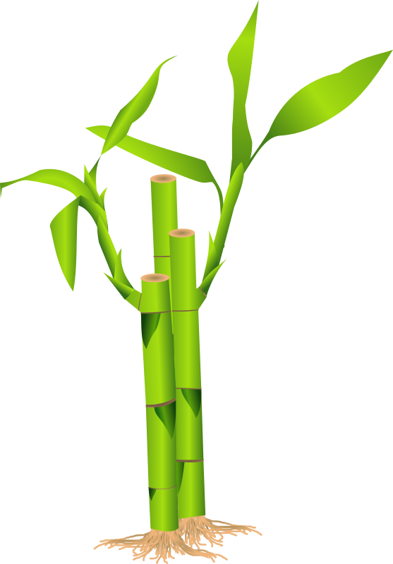 Bamboo By Cyberscooty   Bamboo   Bambou